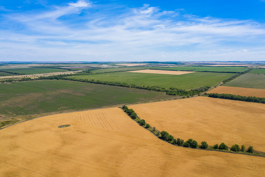 Волгоградские аграрии высеяли 60% яровых зерновых культур